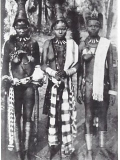 Shocking Africa Ebony Kiwi