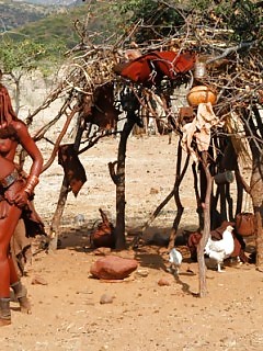 Shocking Africa Hot Black Girls Naked