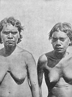 Shocking Africa Ebony Cunt Forum