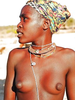 Wild Africa Amatuer Ebony