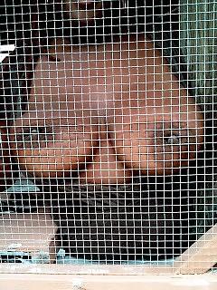 Real Black Moms Big Booty Ebony Girls